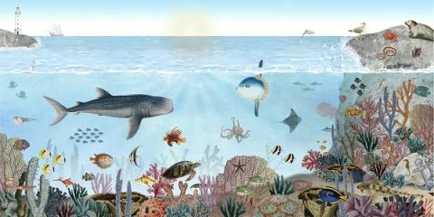 An underwater world with a whale shark, rays and a bright coral reef in clear blue water. Open and calming, like a window into the sea.