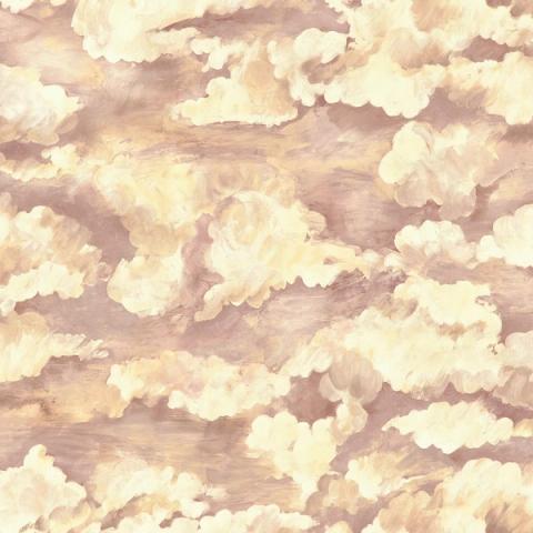 Sora Coral wallpaper