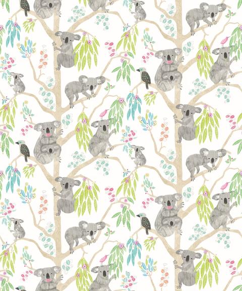Kooka Koala Candy Apple