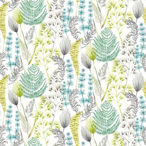 Summer Ferns Acid
