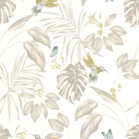 Hummingbird Pearl