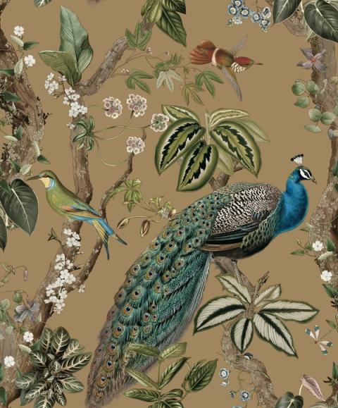Cassia Gold wallpaper