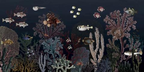 A coral reef alive with fish in deep blue water, rich and jewel-like. Bold and immersive for a room that wants a real feature wall.