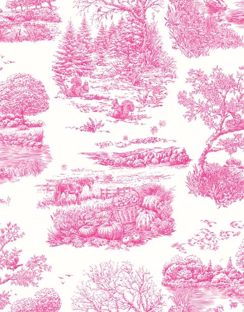 Eve Toile Magenta