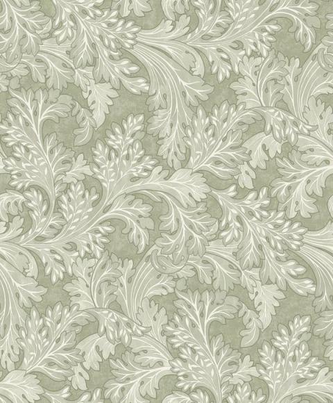 Forenza Sage wallpaper