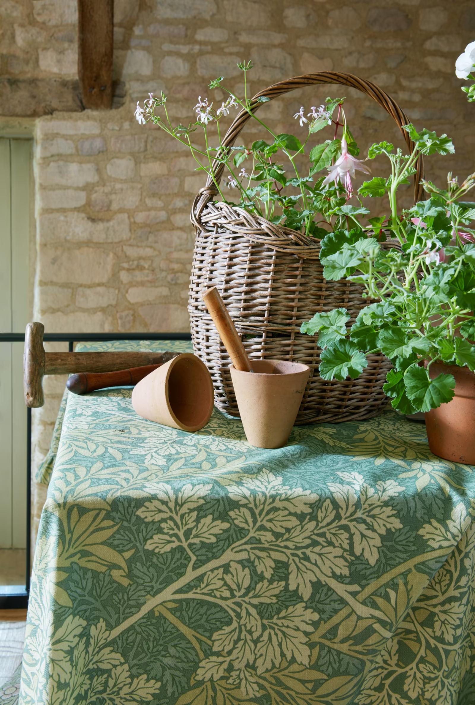 Flora & Foliage Vol I — Flora & Foliage 23
