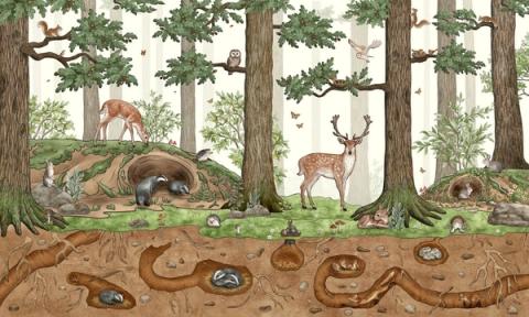 A woodland cross-section: deer, a bear and badgers above ground, with burrows and snakes below in the warm brown earth. Full of small stories for curious eyes.
