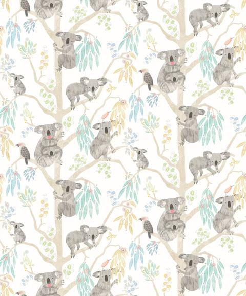 Kooka Koala Sky