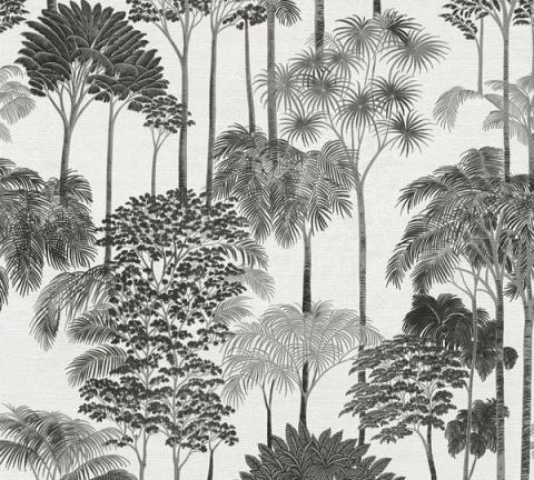 Monochrome Rainforest wallpaper