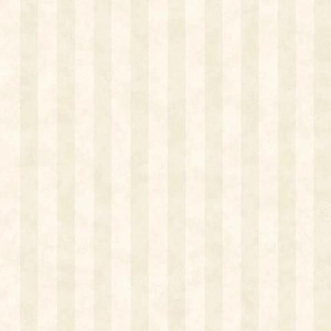 Aquila Cream wallpaper