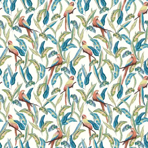 Tropical Parrot Wilderness White