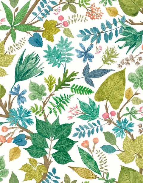 Lush Leaves Fresh Fern
