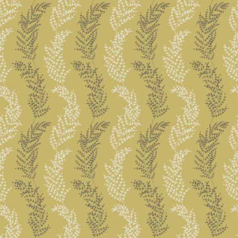 Mimosa Trail Mustard