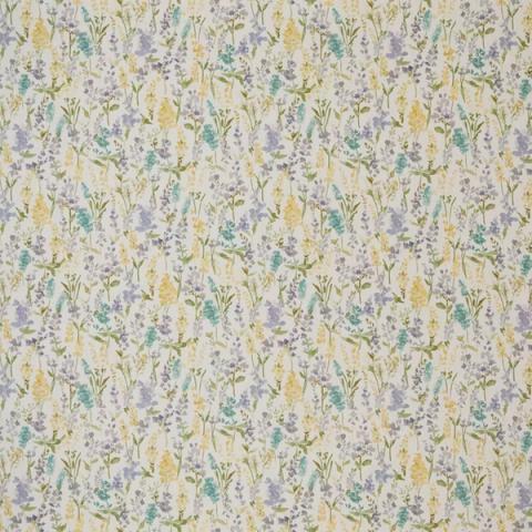 Anara Heather