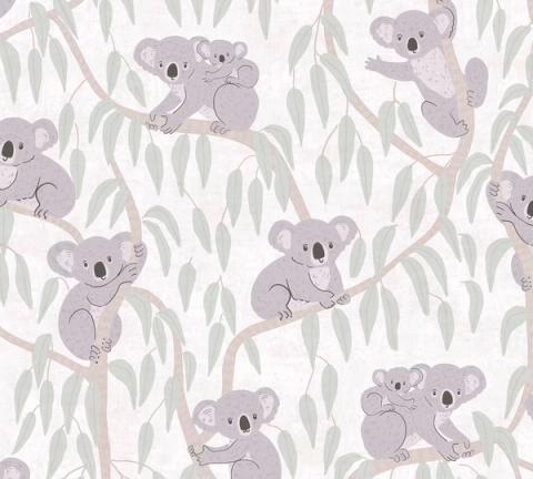 Cream Koala wallpaper
