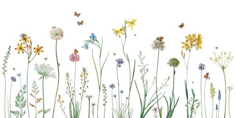 A meadow of wildflowers with butterflies rising through the stems, drawn light and fresh. Cheerful without being loud, it suits a bright, gentle room.