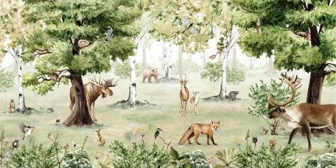 Grand trees shelter deer, a moose, a fox and a bear in a fresh green woodland. Classic and full, a friendly forest for everyday.
