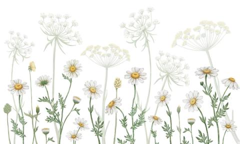 Tall daisies and cow parsley rise the full height of the wall in white and soft green. Clean and botanical, it brings a breath of meadow into the room.