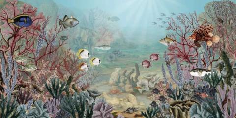 A reef in full colour: angelfish and butterflyfish among red sea fans, anemones and coral, with sunlight falling through turquoise water. The brightest design in the range, and the one children stand and look at.