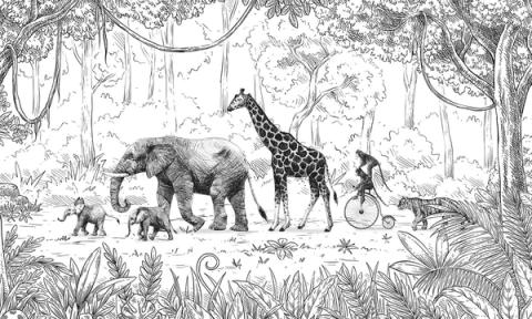 A fine line drawing of elephants, giraffes and a child on a bicycle parading through the trees, in the manner of an old engraving. In black and white it is graphic and calm against colour furniture.