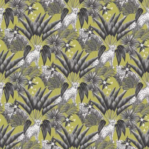 Jungle Cheetah Sable & Lime