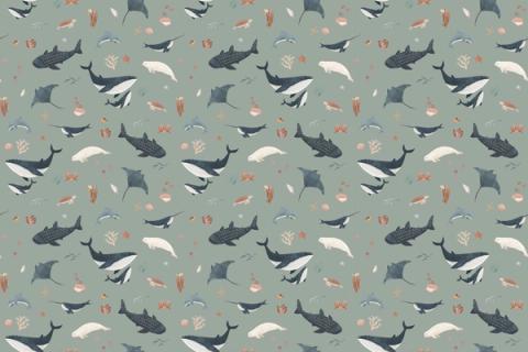 Whales, rays and sea creatures drifting across the wall, here on a sage green ground. As a true repeat it tiles to fit any wall, whether as an all-over nursery paper or a single feature panel.