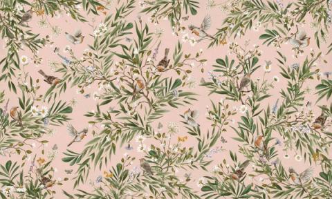 Robins and other small birds rest among ferns and slender foliage, drawn as a soft repeating spray. Shown on a dusky pink ground. Gentle and green, it suits a nursery that leans natural rather than bright.
