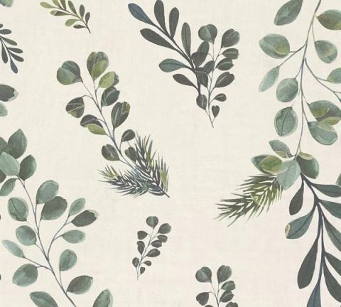 Cream Eucalyptus wallpaper