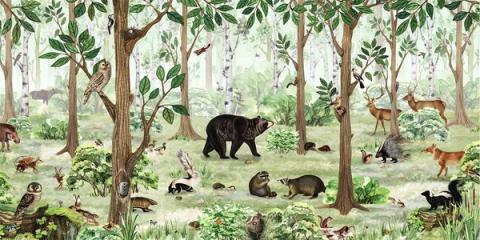 Tall trees, a deer and a badger in a fresh green woodland, drawn with storybook detail. Classic and calm, it grows with the child.