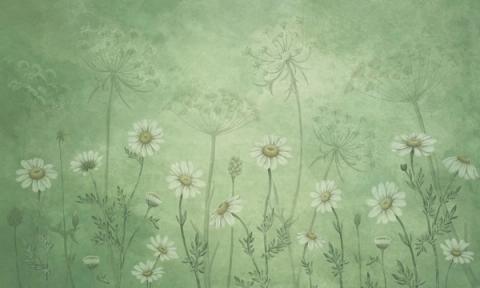 White daisies and cow parsley scattered over a washed sage ground, with ghosted seed heads behind them. Soft-edged and slightly faded, like a fresco that has been on the wall for years.