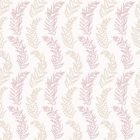 Mimosa Trail Blush