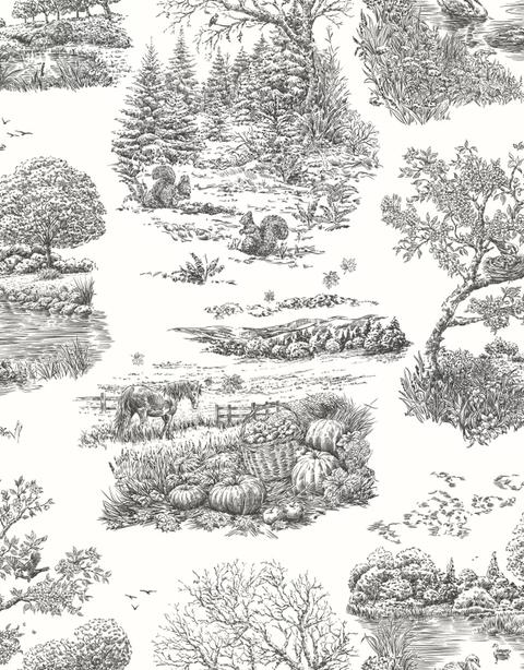 Eve Toile Noir