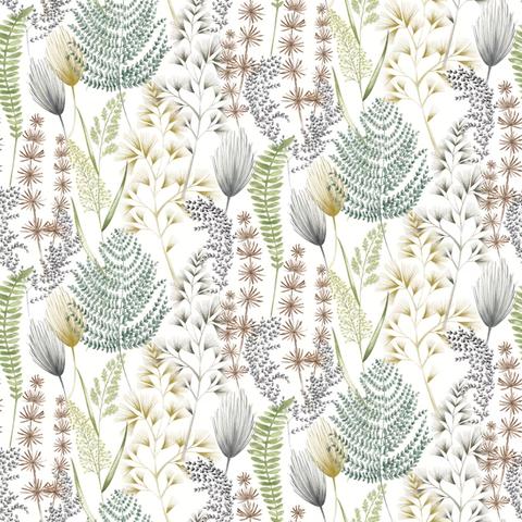 Summer Ferns Earth Organic