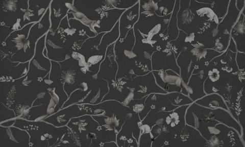 Foxes, owls and little birds scattered among fine branches and wildflowers in a light, hand-drawn all-over design. Shown as a single-tone print in deep near-black. Even and delicate across the wall, it dresses a room without crowding it.