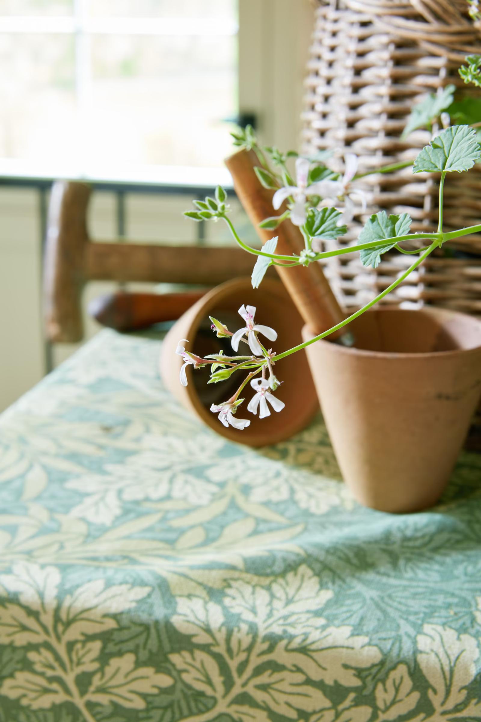 Flora & Foliage Vol I — Flora & Foliage 25