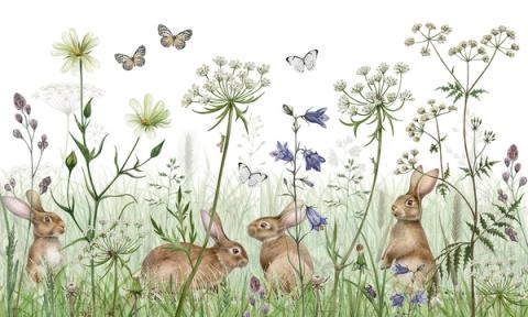 Rabbits sit among tall wildflowers and bluebells, drawn light against white. A close, low-level view that feels gentle and full of life.