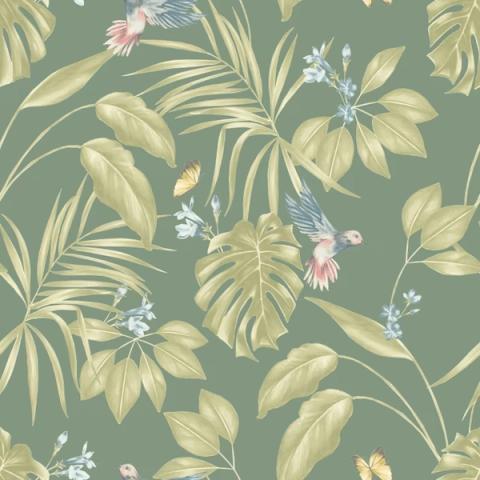 Hummingbird Forest