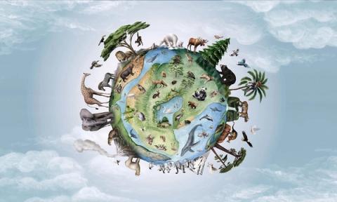 A whole world drawn as a little planet, its surface crowded with animals and landscapes from pole to pole, floating in a soft sky. A talking point that teaches as it decorates.