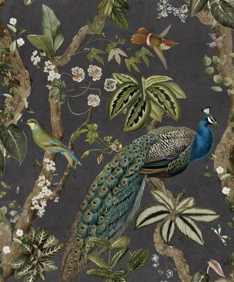 Cassia Charcoal wallpaper