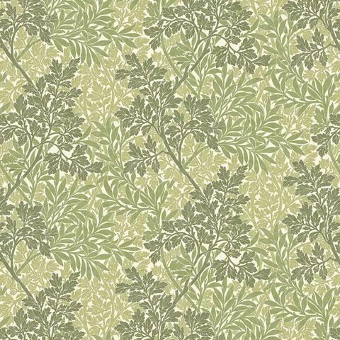 Foliage Fern