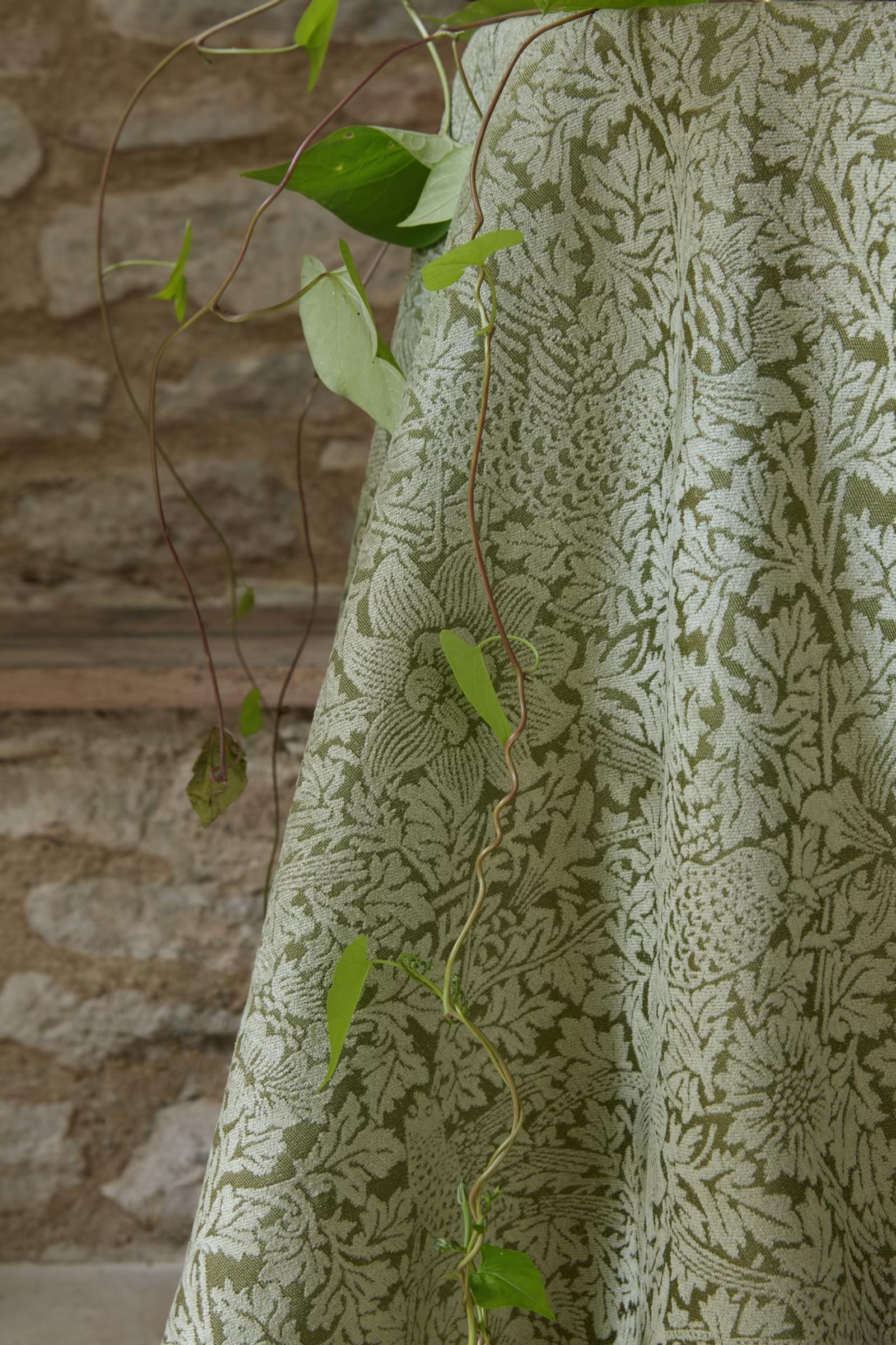 The Forager — The Forager 9