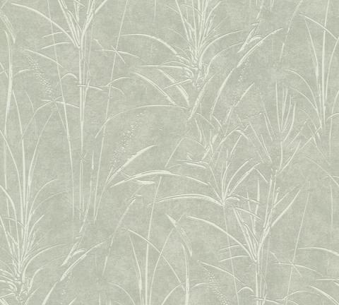 Sage Reed wallpaper