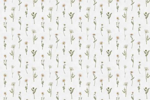 Fine daisies and meadow stems in a delicate repeating spray. As a true repeat it tiles to fit any wall, whether as an all-over nursery paper or a single feature panel.