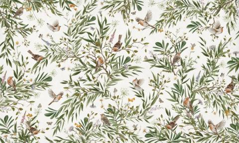 Robins and other small birds rest among ferns and slender foliage, drawn as a soft repeating spray. Shown on a clean white ground. Gentle and green, it suits a nursery that leans natural rather than bright.