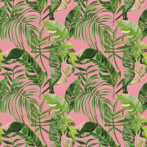 Palmera Fuchsia