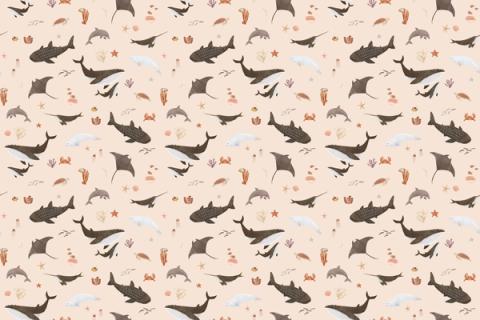 Whales, rays and sea creatures drifting across the wall, here on a warm beige ground. As a true repeat it tiles to fit any wall, whether as an all-over nursery paper or a single feature panel.