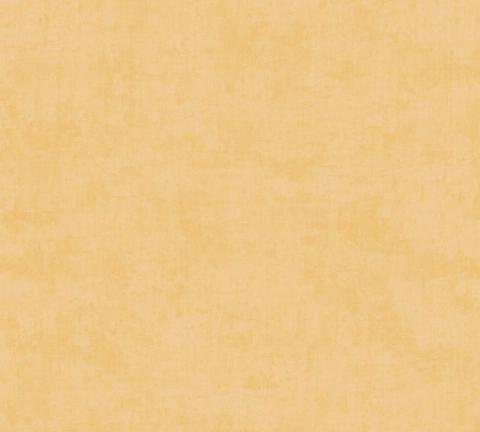 Apricot Wash wallpaper
