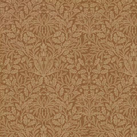 Acorn Russet