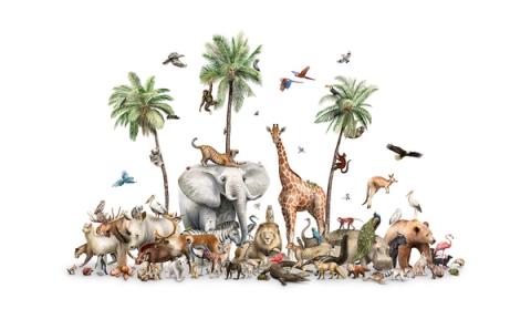 A tower of the world's animals gathered around palms and an elephant, standing on a clean white ground. Bold as a centrepiece, yet light because so much of the wall stays open.