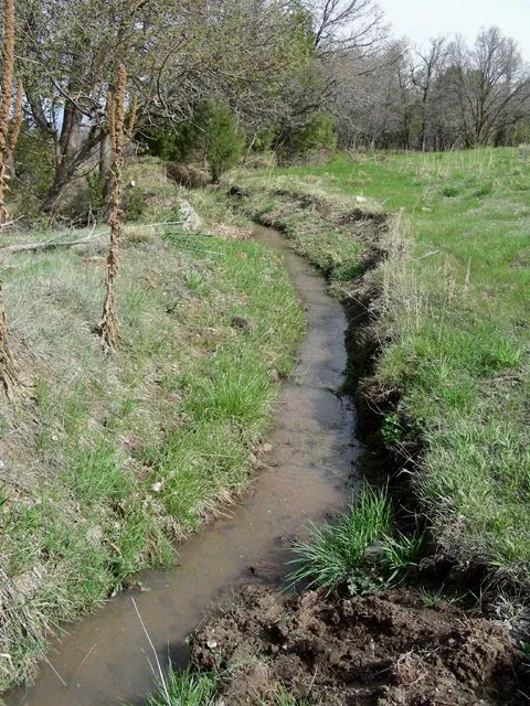 Acequia in May